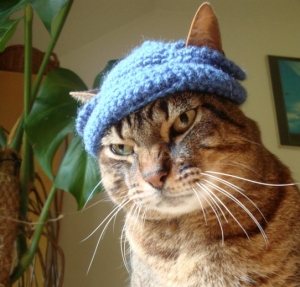 MysteriousCats Cat Beanie Free Crochet Pattern - Shared on the Weekly Pattern Roundup of the Fiber Arts 3 Sakeenah.com
